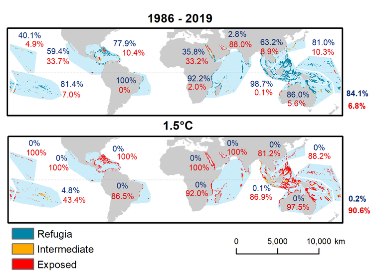 Two world maps comparing coral reef refugia 1986-2019 versus at 1.5°C.