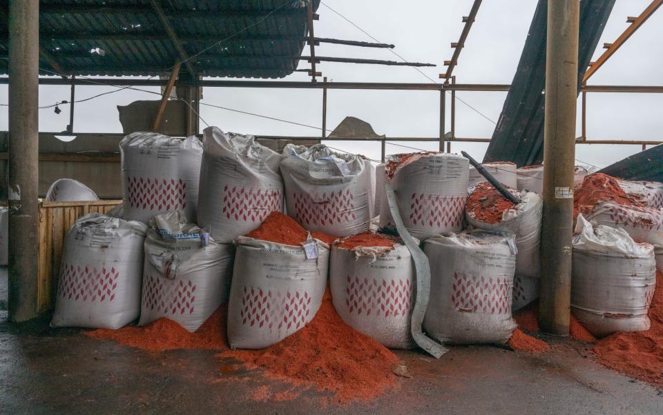 Burst bags of grain in the Naporivske Agricultural Enterprises after the shelling - Paul Grover for The Telegraph 