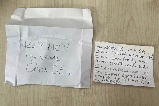 <p>WALES NEWS SERVICE </p> The note found attached to Chase the puppy's collar