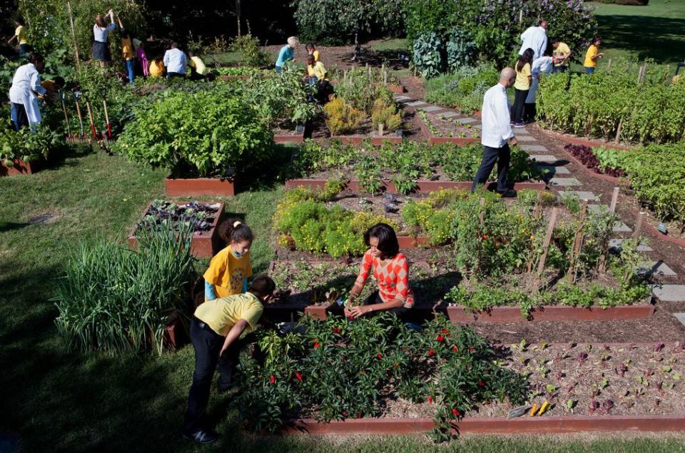 10 Surprising Facts About The White House Vegetable Garden