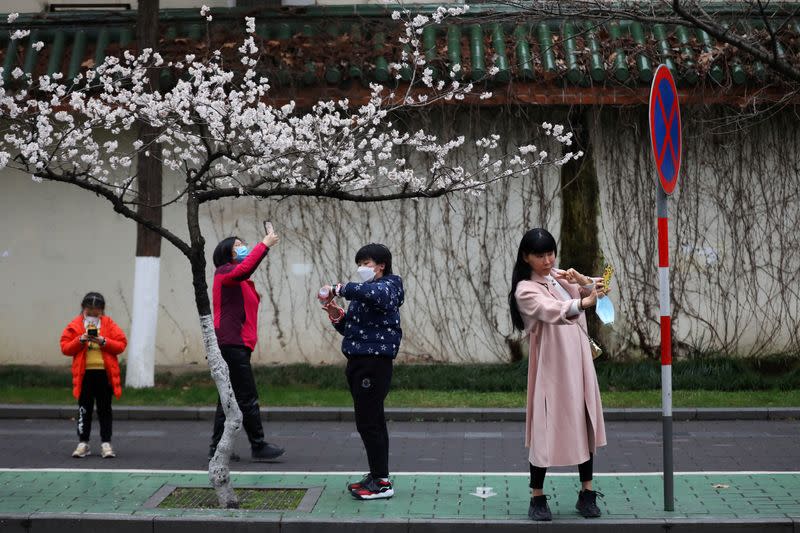People wearing face masks use their phones under blooming cherry blossoms near Jiming Temple, as the country is hit by a novel coronavirus, in Nanjing