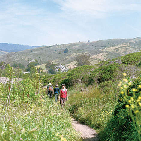 Green Gulch Zen Center