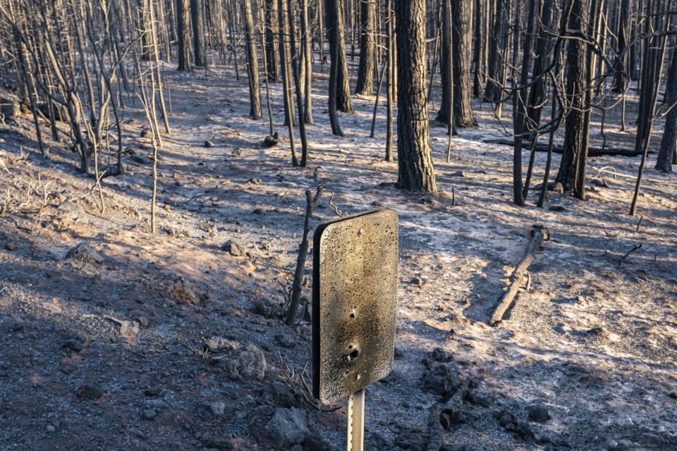 A fire-damaged mile marker sign hangs near trees burned by the Bootleg Fire on Wednesday, July 21, 2021 in Bly, Ore. (AP Photo/Nathan Howard)