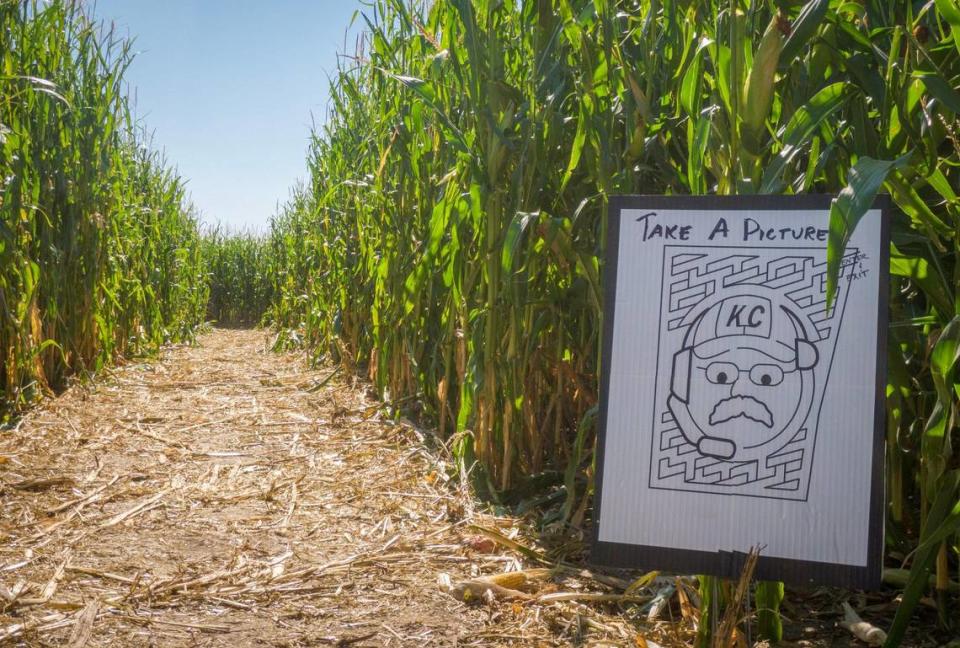 A guide to the corn maze carved in the likeness of Kansas City Chiefs Head Coach Andy Reid is staked up for visitors at the entrance to the maze on Thursday, Oct. 5, 2023, at Johnson Farms Plants and Pumpkins, 17701 Holmes Rd., Belton, Missouri.