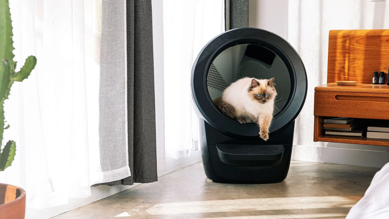 cat using litter robot 4