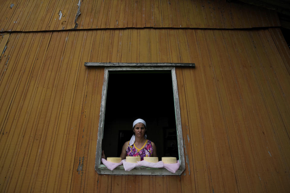 Cleonice Farina de Oliveira displays homemade cheese for sale at a window of her house, at the Colonia Mondrongo, in the rural area of the Rio Branco, Acre state, Brazil, Friday, May 26, 2023. For the past few years, her family has been experimenting with planting a native legume called forage peanuts alongside grass in their pastures. This plant attracts bacteria to its roots that can pull nitrogen from the air into the ground, essentially acting as a low-cost natural fertilizer. (AP Photo/Eraldo Peres)