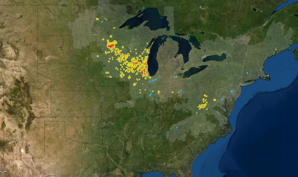 Wisconsin is key terrain for the endangered rusty patched bumble bee. Yellow and red areas highlight recent rusty patched bumble bee observations; the light gray area is the historic range of the endangered bee.