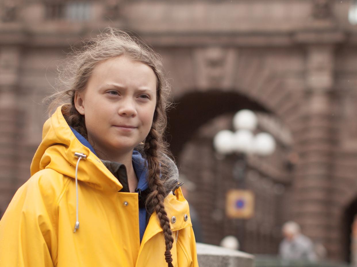 Nathan Grossman: ‘Greta Thunberg continues to bang her head against this cement wall of politicians’ (Dogwoof)