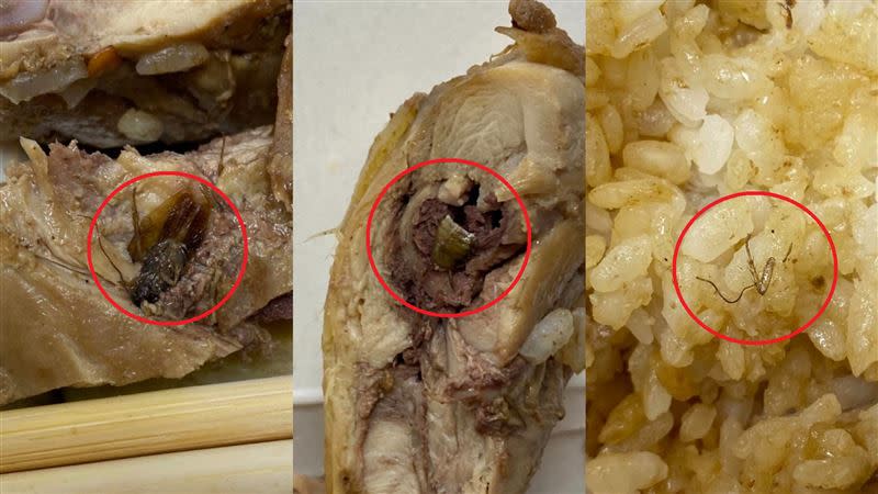 汐止燒臘便當雞肉塞2隻蟑螂、白飯上還有蟑螂腿。（圖／翻攝自汐止集團臉書）