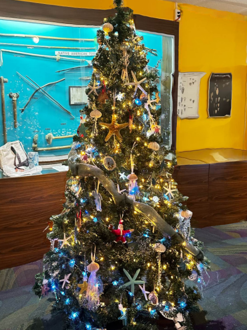 Ocean Isle Beach Sea Turtle Protection Organization decorated Christmas tree. Decorated in sea turtle, jellyfish and starfish and beautifully topped with a Lucy’s Treasure float.