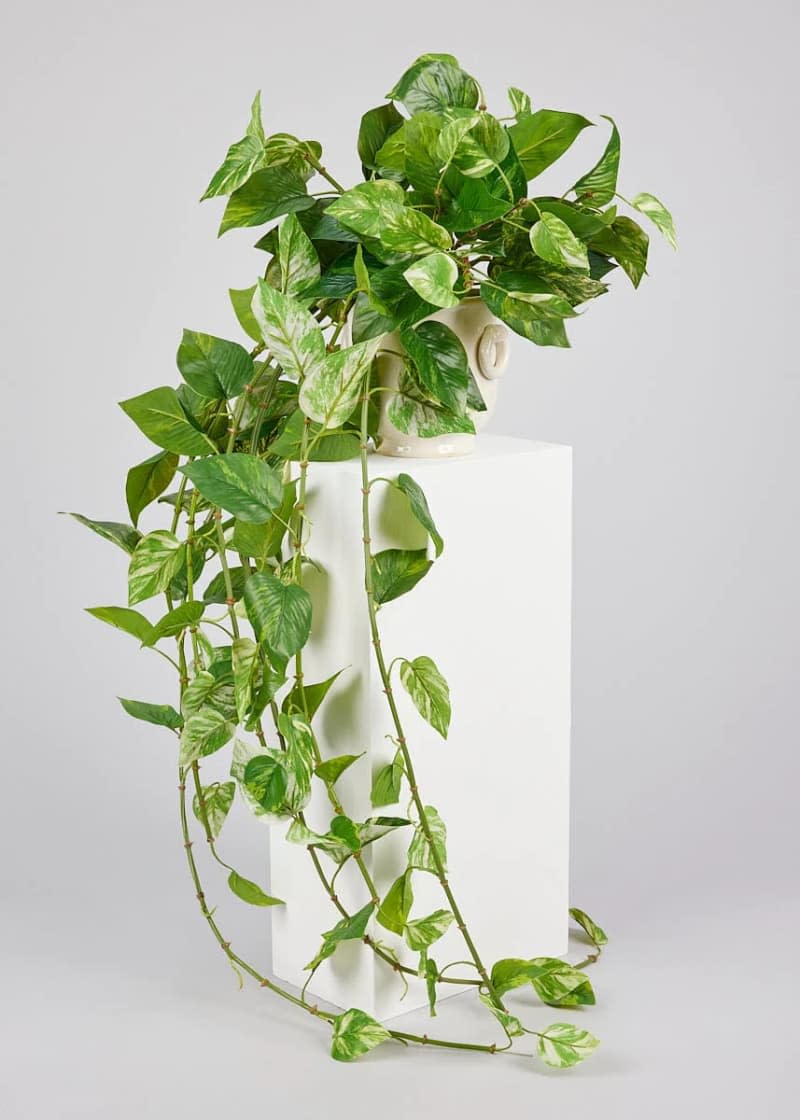 Natural Touch Pothos Artificial Plant, 48"