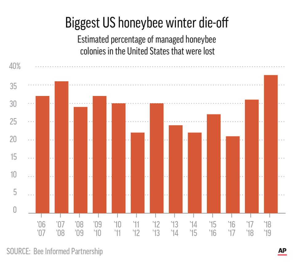 US beekeepers report their worst winter yet for honeybees, losing nearly 38% of colonies.;