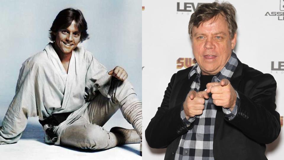 Mark Hamill (Luke Skywalker): Hamill shot to fame as the hero of the ‘Star Wars’ franchise in his 20s. His film career stalled post ‘Return of the Jedi’, but he has thrived as a voice actor, most memorably as The Joker in the animated Batman series.