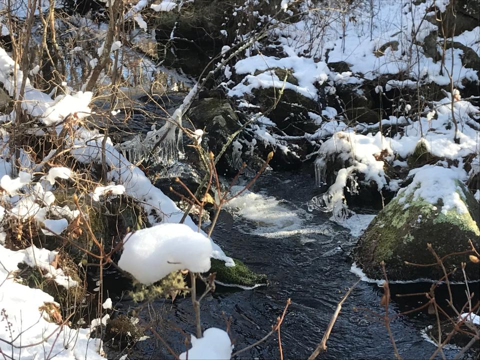 A narrow, icy brook tumbles over smooth stones to create a mini waterfall in the Tucker Woods Preserve in Charlestown.