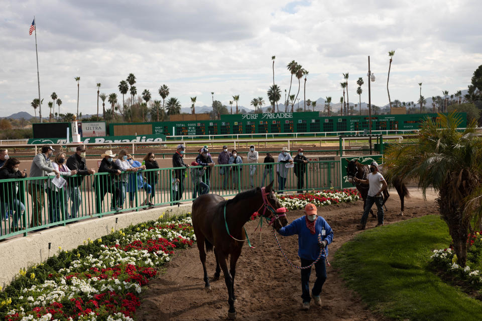 Spectators watch the horses that just finished racing at Turf Paradise Horse Racetrack.