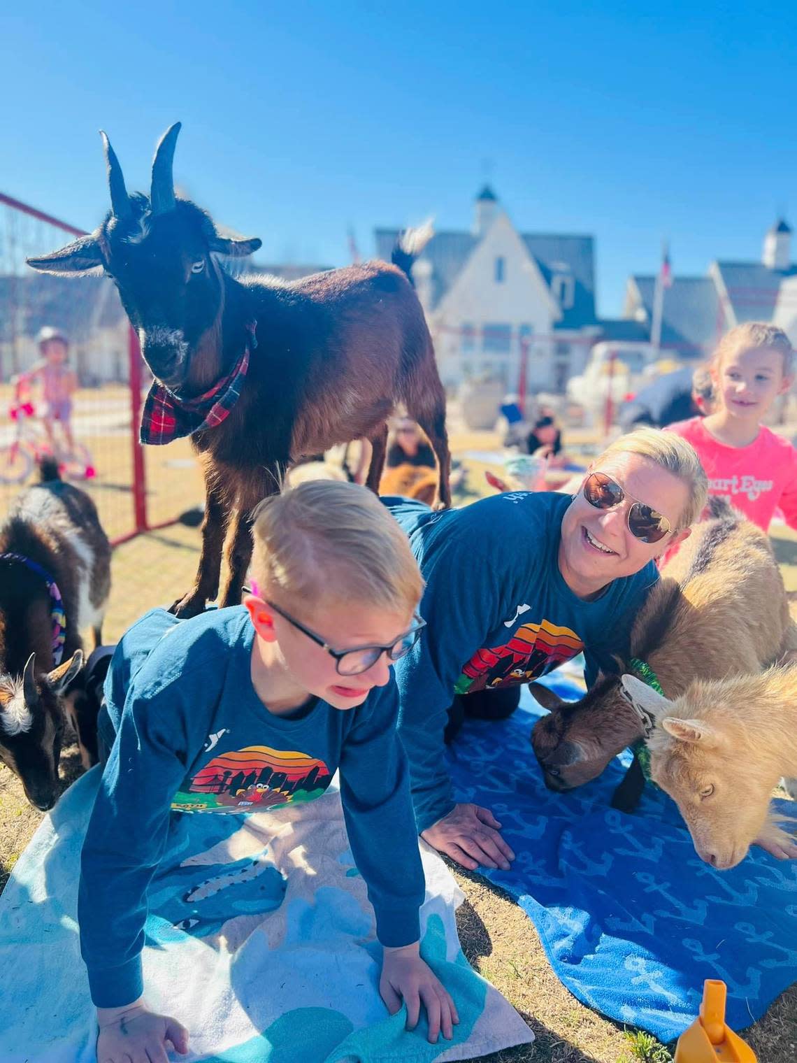 Goat walks across participants in cat-cow pose at Dallas Goat Yoga’s event in Pecan Square, Hillwood. Courtesy photo by Goat Yoga Dallas facebook.