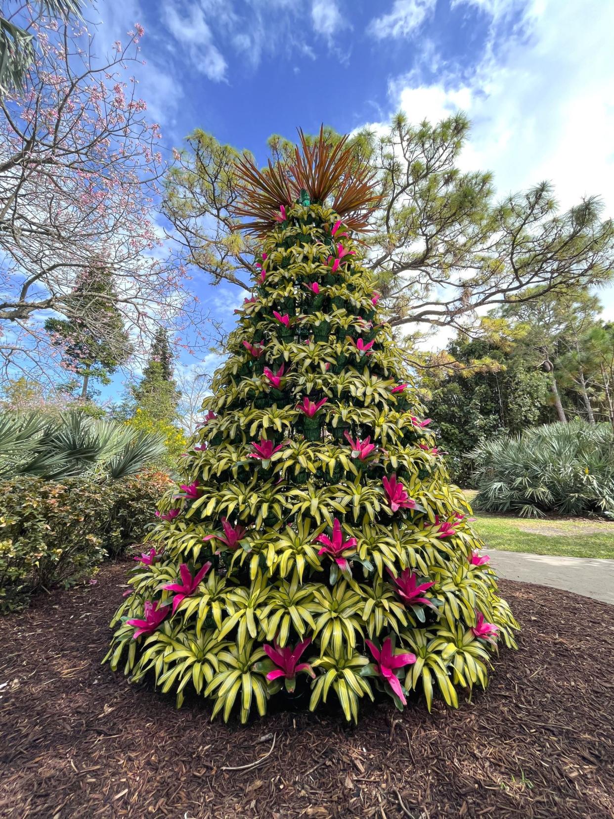 Tropical Holiday Trees are back again this year at Mounts Botanical Garden and will be on display through Dec. 31.