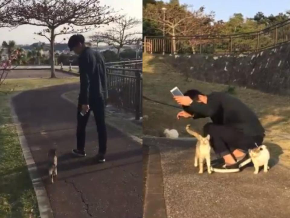 <p>日本一名推主在公園遇到親人浪貓，沒想到牠竟然引他到貓咪聚會場所（圖／翻攝自twitter@Hi_brother23）</p>
