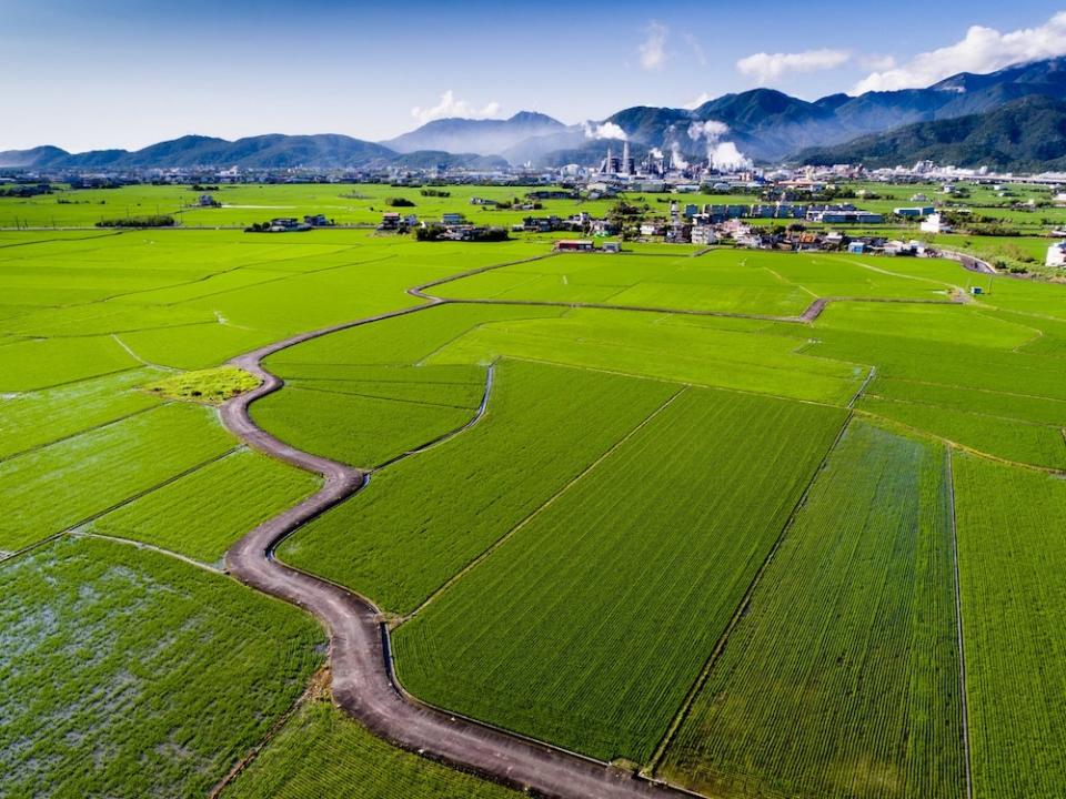 冬山三奇美徑（圖片來源：冬山鄉觀光旅遊網）