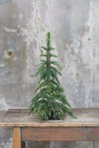 25+ Small Christmas Trees for Creating Holiday Cheer in 2022