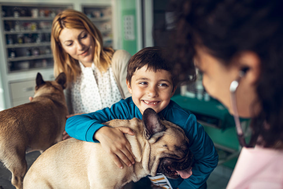 Royal Veterinary College researchers say support for pet owners is 'needed now more than ever'. (Stock, Getty)