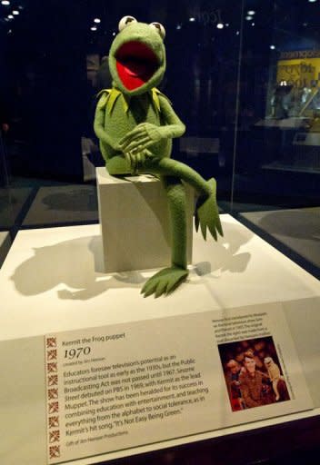 A 1970's Kermit the Frog puppet from Sesame Street is on display at the Smithsonian Mueseum of American History in Washington, DC, during the press preview for "American Stories", a signature new exhibition