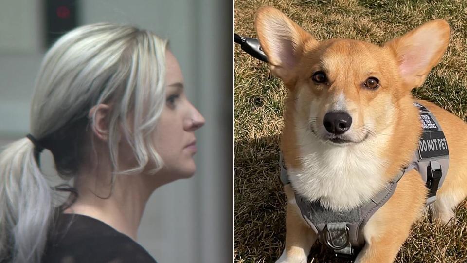 <div>Rachel Moderson in Waukesha County court; Milo, Ashley Bales corgi</div>