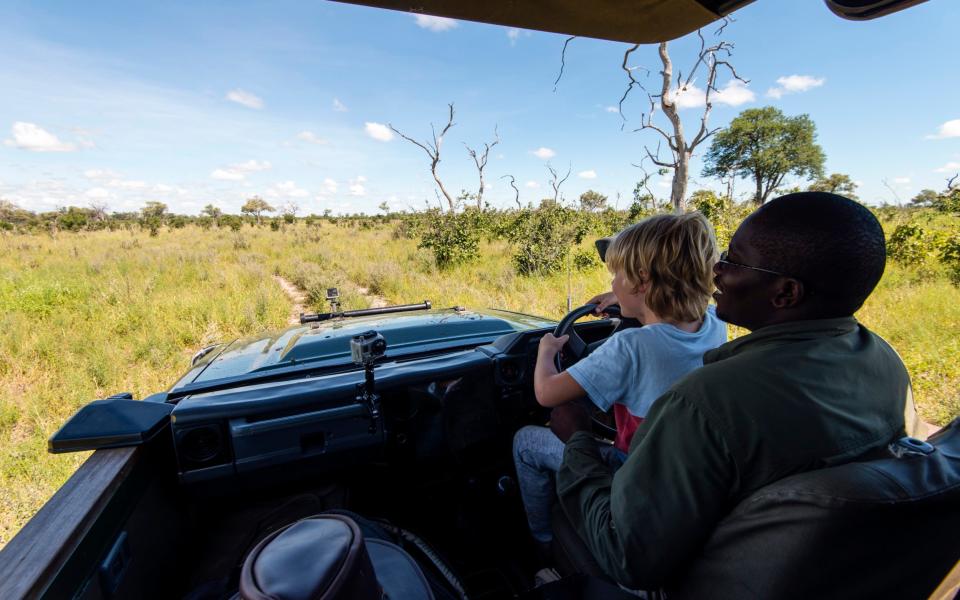 Safari in Botswana