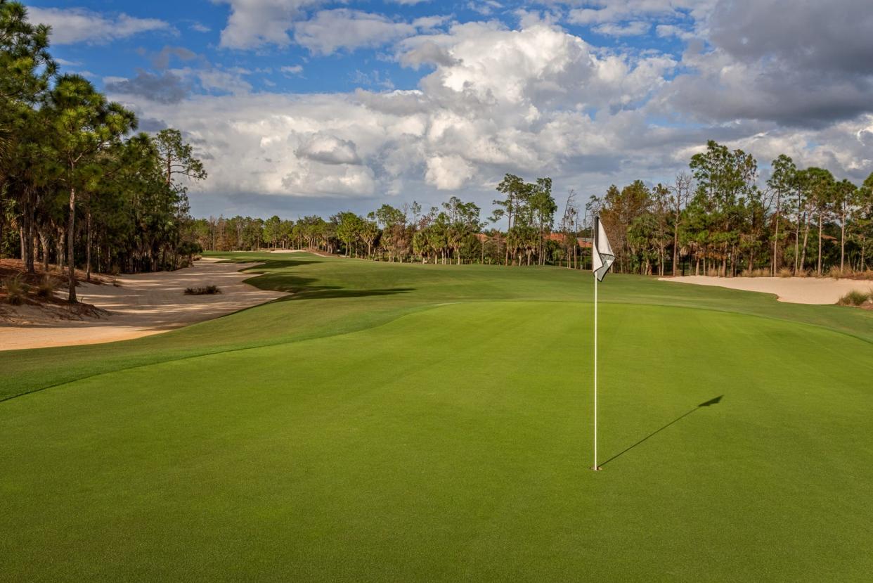 Tiburon Golf Club has hosted the LPGA and PGA tours' top golfers over the years with both the Gold and Black courses at the Naples club being used for compettion.