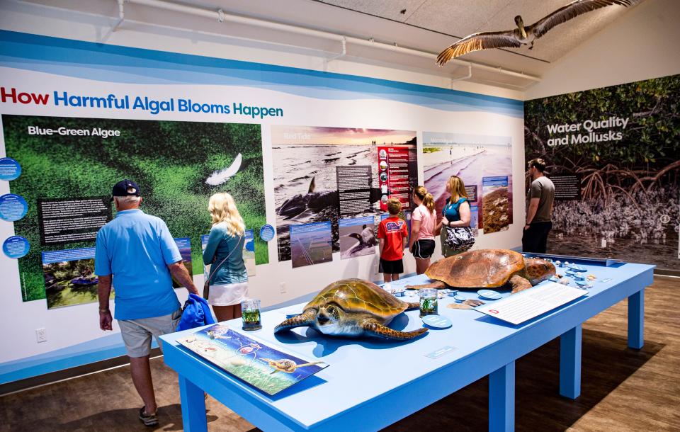 A family checks out the RED, BLUE, GREEN:
An Introduction to Water
Quality in Southwest Florida exhibit at the Bailey-Matthews Shell Museum on Sanibel on Friday March 25, 2022. He exhibit runs through June 12 of 2022.