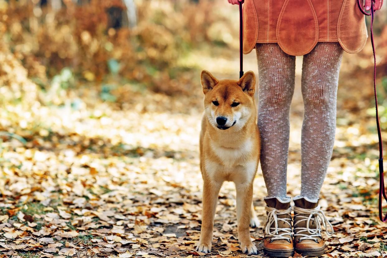 woman standing in fall leaves with her shiba inu
