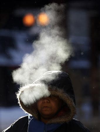 A woman walks in frigid cold temperatures though downtown Chicago, Illinois, January 6, 2014. REUTERS/Jim Young