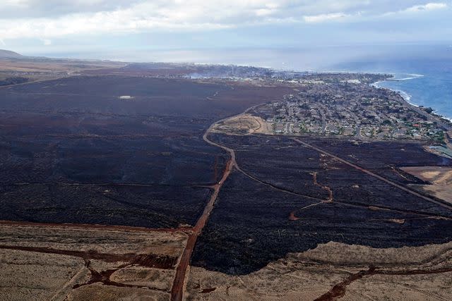 <p>AP Photo/Rick Bowmer</p> The shocking impact of the wildfire is seen outside the city Lahaina, Hawaii, Thursday, Aug. 10, 2023