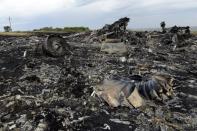 Debris from Malaysia Airlines flight MH17 lies at the crash site in rebel-held east Ukraine, on July 19, 2014