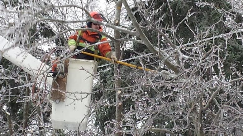 2016 storm damage was costliest in a decade, says Nova Scotia Power