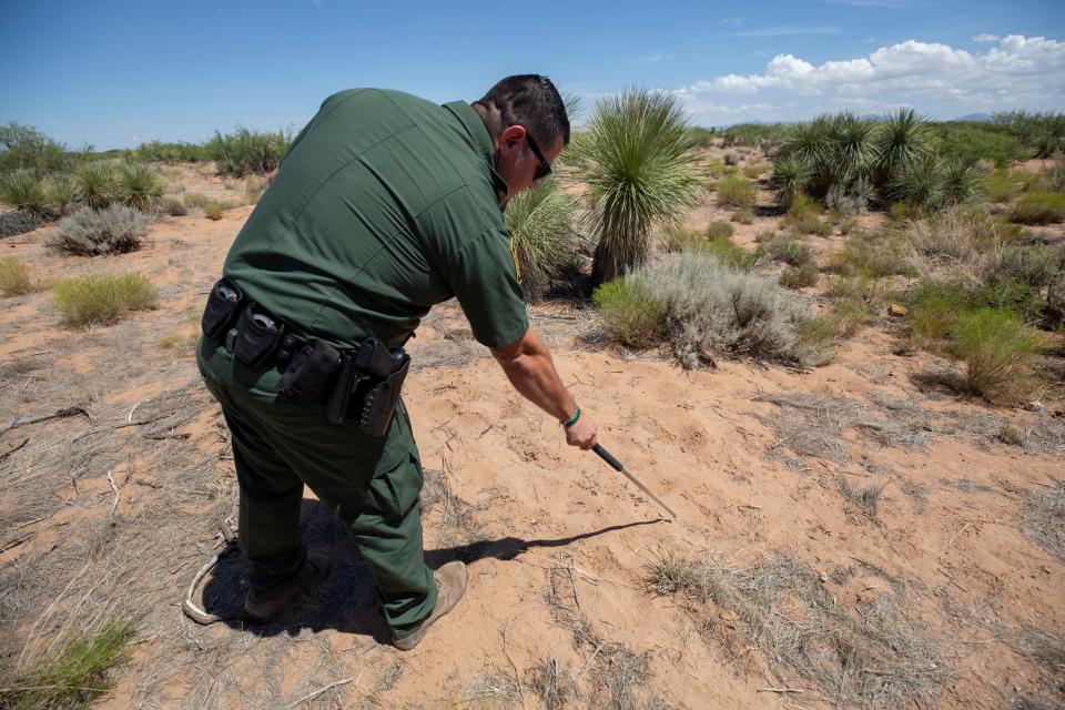 U.S. Border Patrol spokesman Fidel Baca tracks a recent group of migrants who had crossed the border wall in New Mexico in late August 2023.