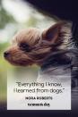 <p>“Everything I know, I learned from dogs.”</p>