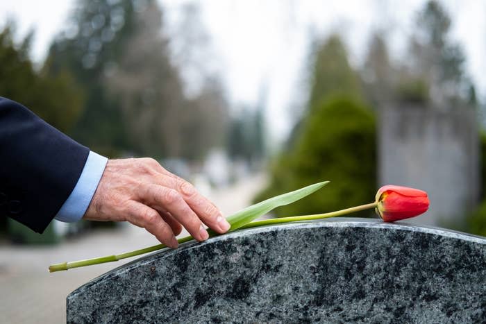 A hand places a single tulip on a gravestone in a cemetery