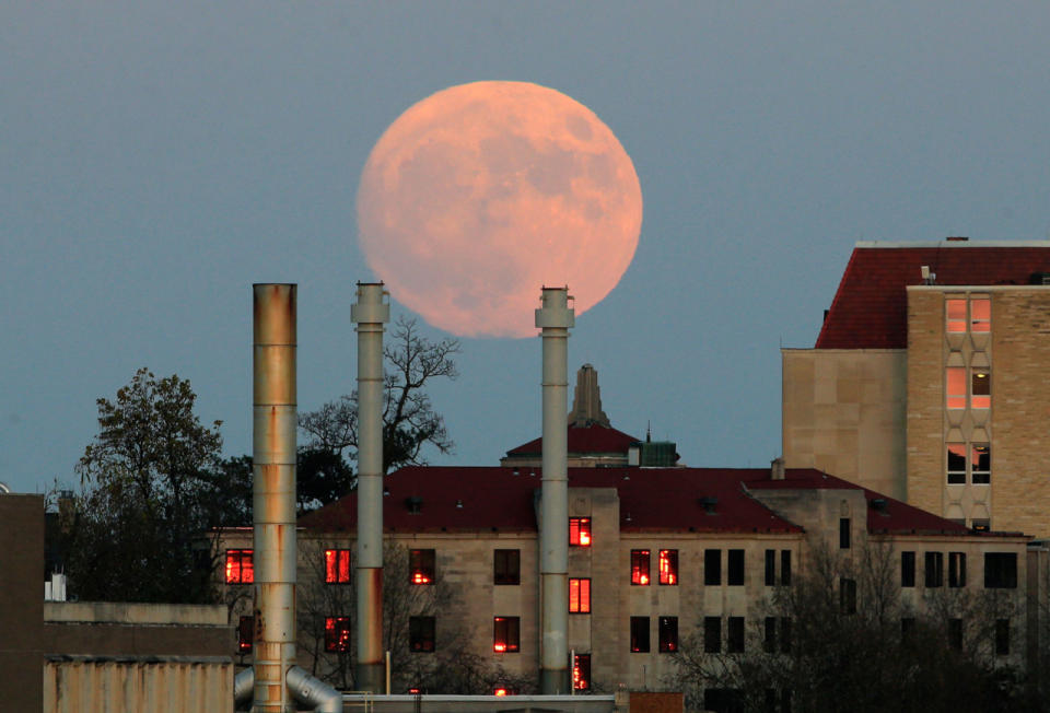 La luna se eleva más allá del campus de la Universidad de Kansas en Lawrence, Kansas, el domingo, 13 de noviembre de 2016. (AP Photo / Orlin Wagner)