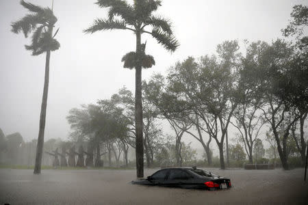 El paso destructor de Irma por Florida