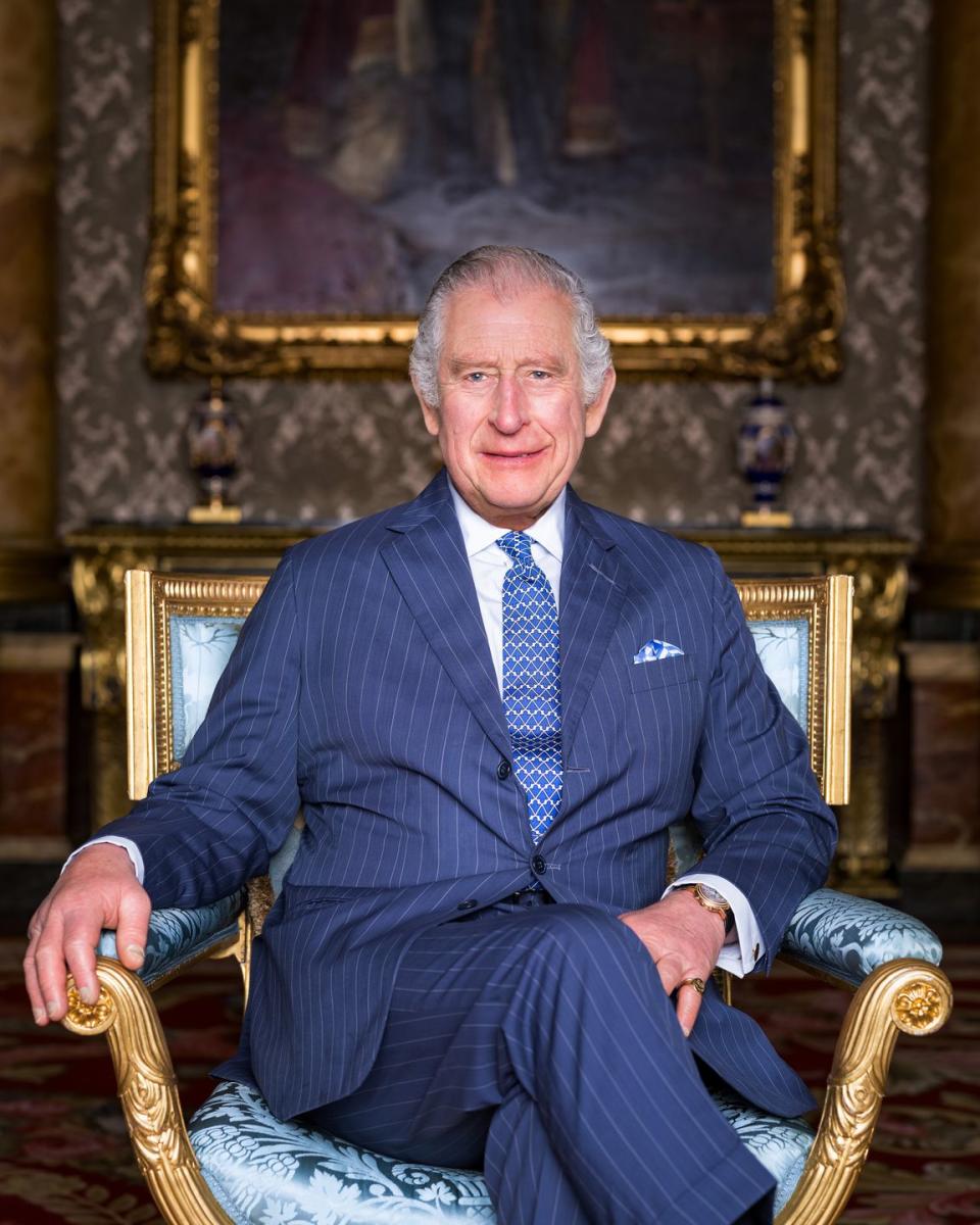 king charles wears a pinstripe suit by anderson and sheppard in his official coronation portrait