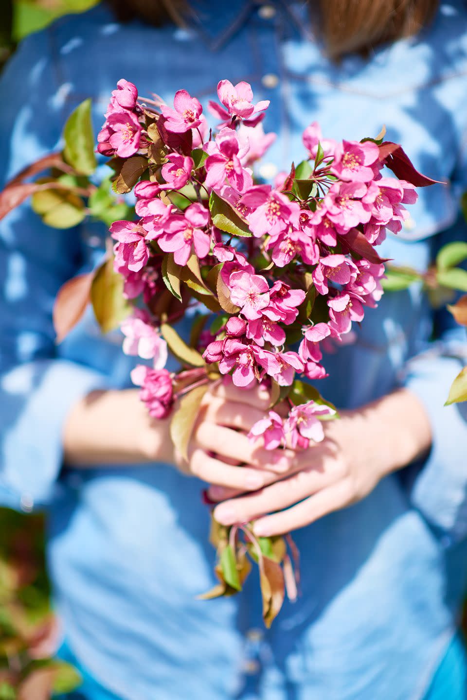 a woman holds a bouquet a pink summer flowers she has picked