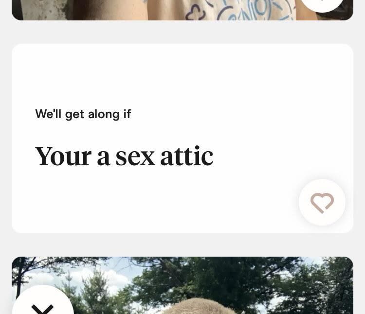 Hinge profile reads "We'll get along if your a sex attic"