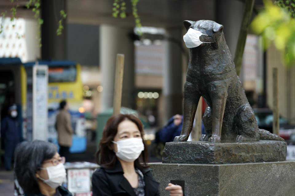 A statue of a Japanese Akita dog named "Hachiko" wearing a face mask is seen near Shibuya Station Wednesday, April 8, 2020, in Tokyo. Japanese Prime Minister Shinzo Abe declared a state of emergency on Tuesday for Tokyo and six other prefectures to ramp up defenses against the spread of the new coronavirus. Hachiko has waited for his owner University of Tokyo Prof. Eizaburo Ueno at the same place by the station every afternoon, expecting him to return home for nearly 11 years even after Ueno's death at work. (AP Photo/Eugene Hoshiko)