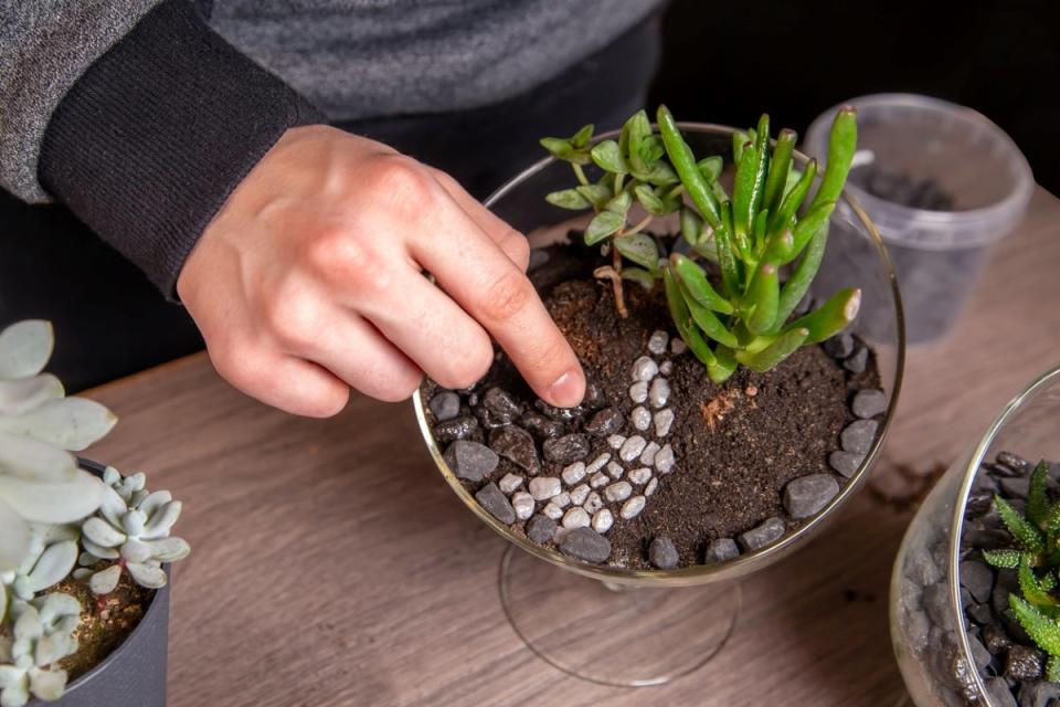 A person decorating a glass terrarium dish with small pebbles.