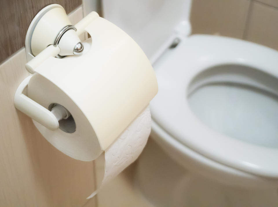 Toilet paper and the toilet interior.