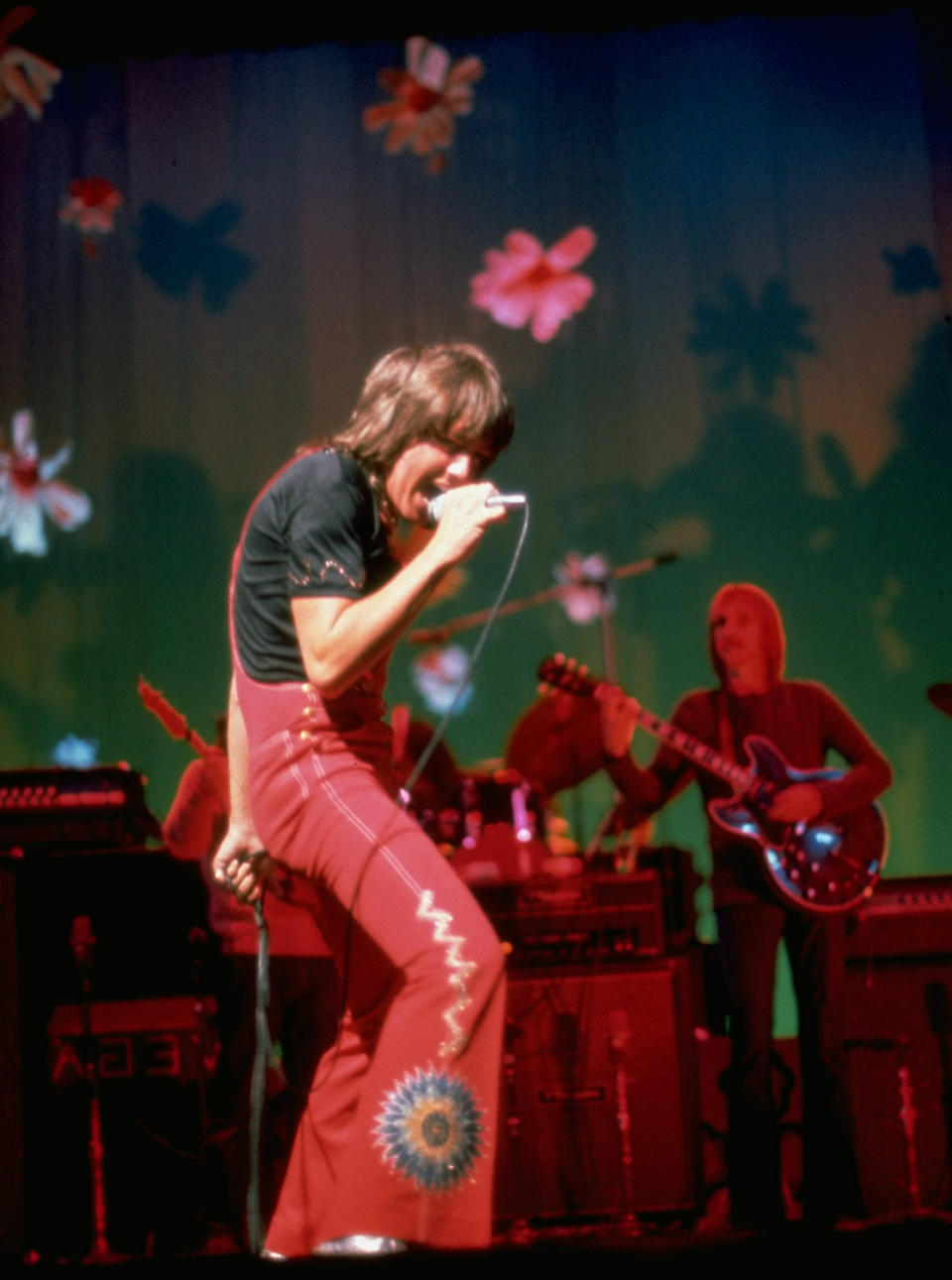 David Cassidy in concert, 1974