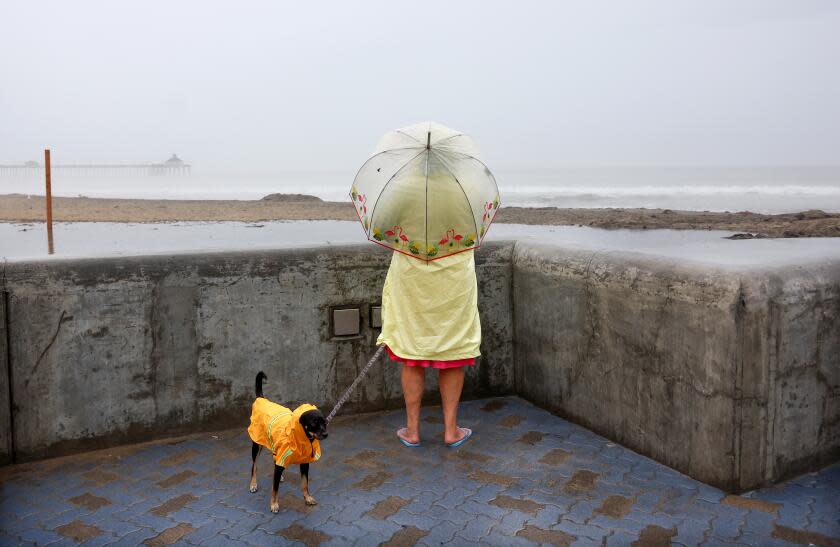 IMPERIAL BEACH, CALIFORNIA - AUGUST 20: A person and dog wear raincoats as they stand near the Pacific Ocean with Tropical Storm Hilary approaching in San Diego County on August 20, 2023 in Imperial Beach, California. Southern California is under a first-ever tropical storm warning as Hilary approaches with parts of California, Arizona and Nevada preparing for flooding and heavy rains. All California state beaches have been closed in San Diego and Orange counties in preparation for the impacts from the storm which was downgraded from hurricane status. (Photo by Mario Tama/Getty Images)