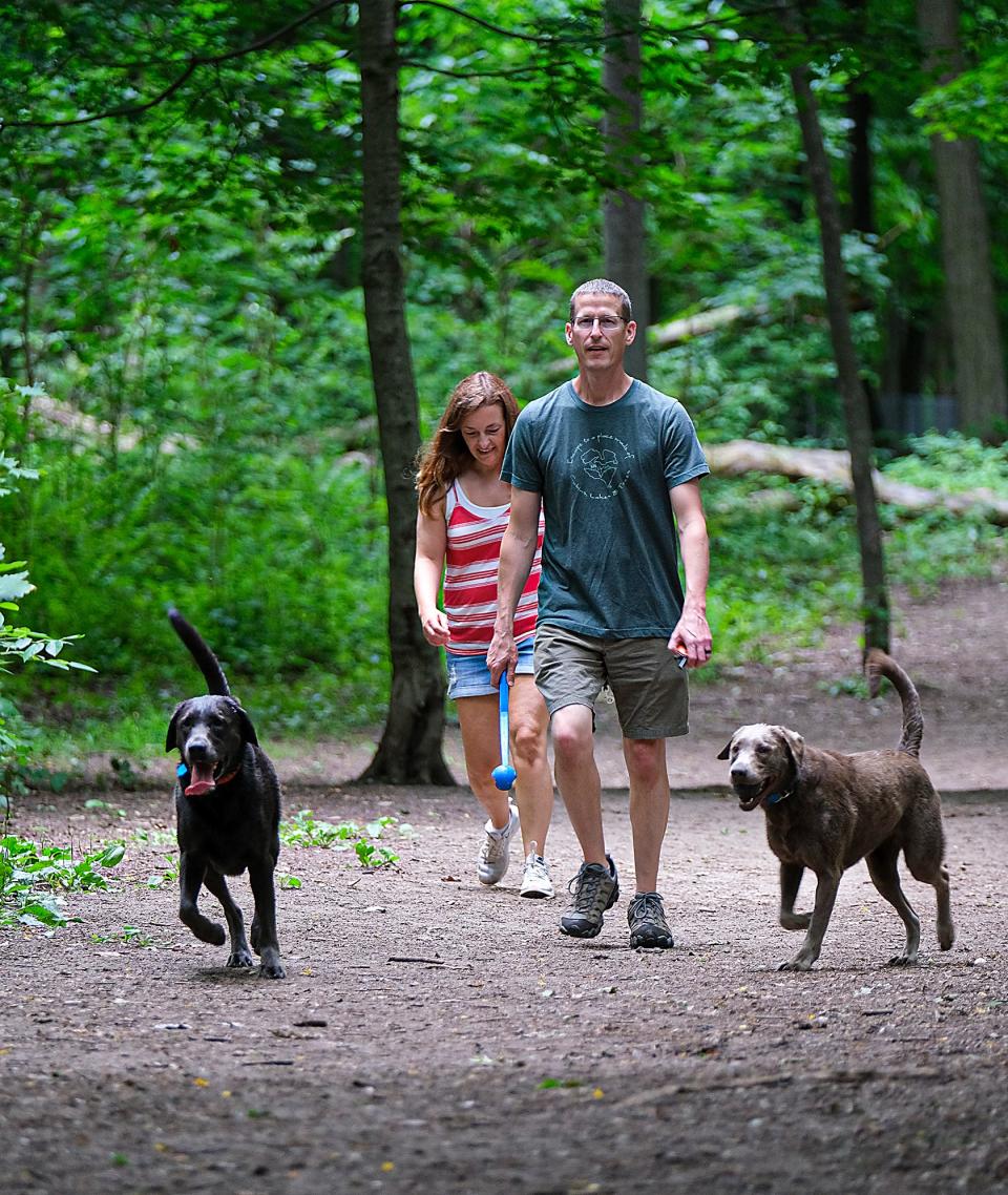 Emily and Eric Smith from Lansing walk their two sibling labrador retrievers Cole, left, and Aggie at Soldan Dog Park in Lansing Saturday, June 16, 2022. They have been coming to the park for about two years.