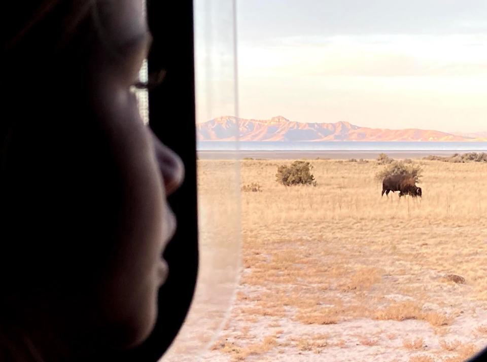 The author's 6-year-old woke her up one morning in November 2020 to point out bison in their campsite on Antelope Island in Utah. (Photo: Courtesy of Kelly Burch)